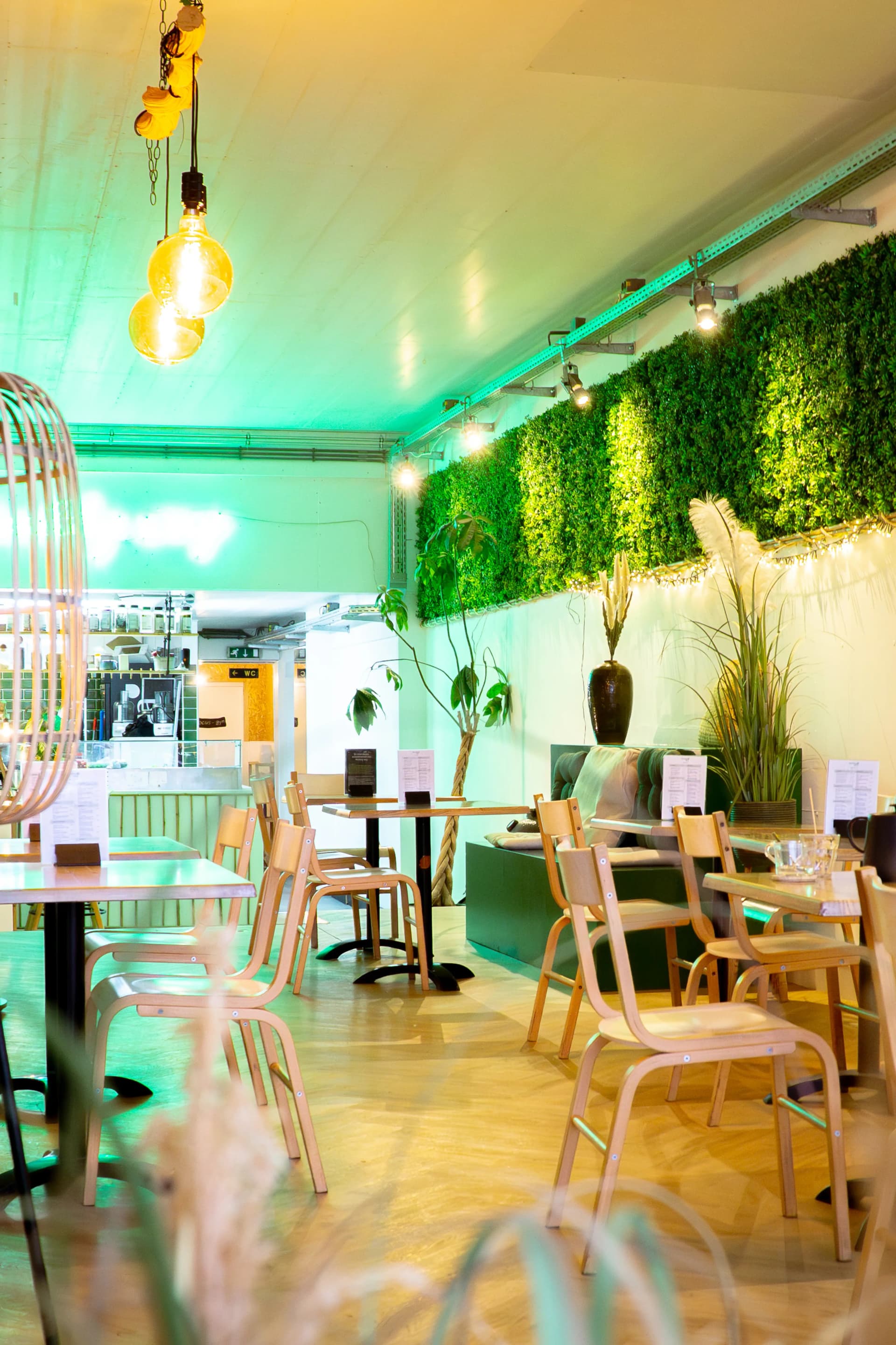 Services Healthy Way